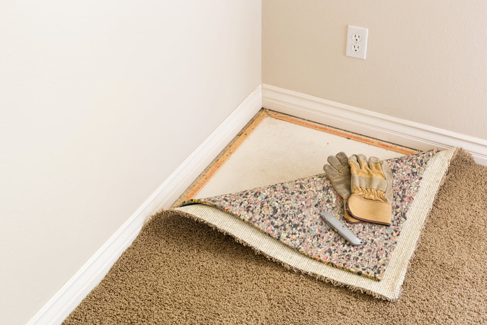 A carpet folded back over the corner of a room.